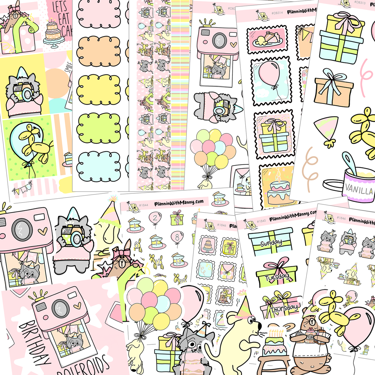 PFV213 Birthday Fun Mega Planner Kit
