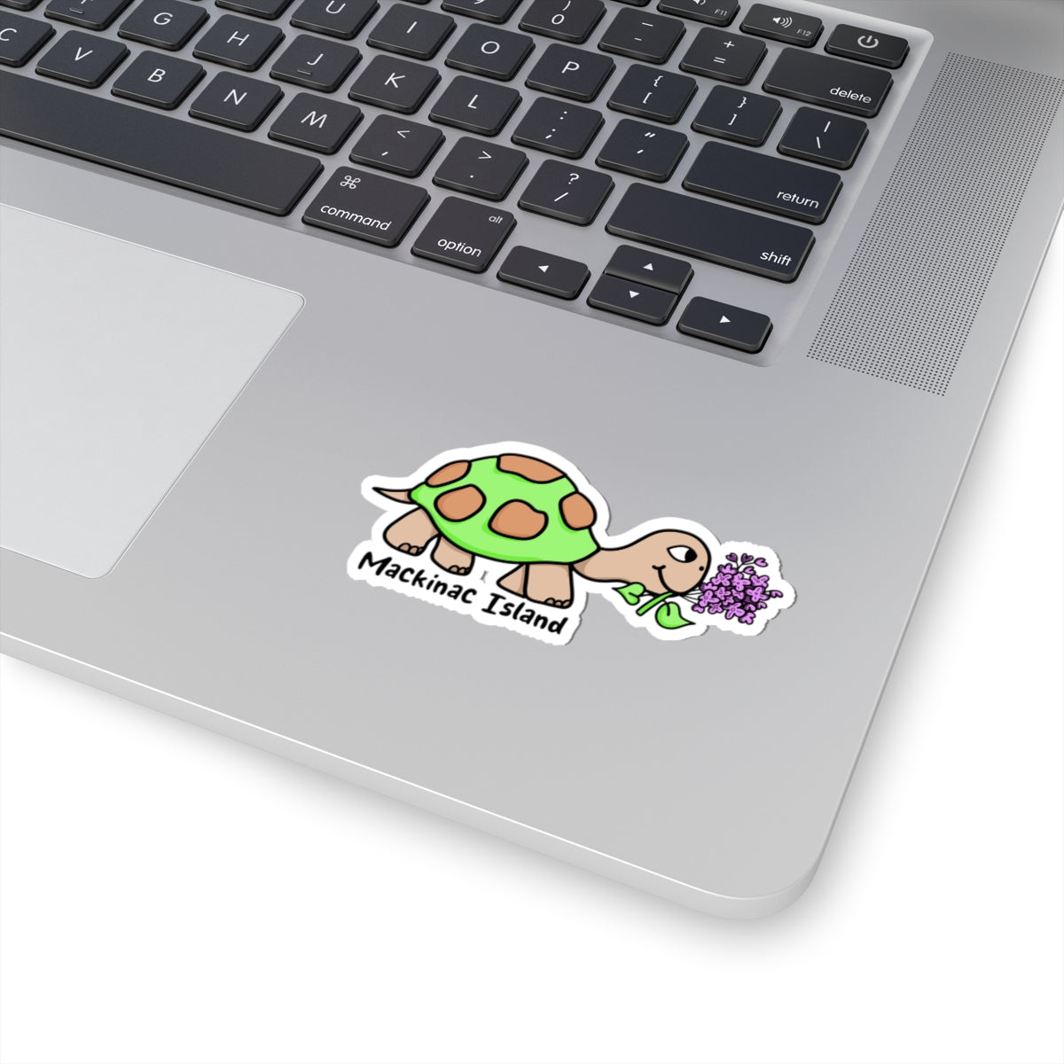 A die-cut sticker of a green turtle with a purple flower and the text 'Mackinac Island' applied to the silver palm rest of a laptop keyboard.