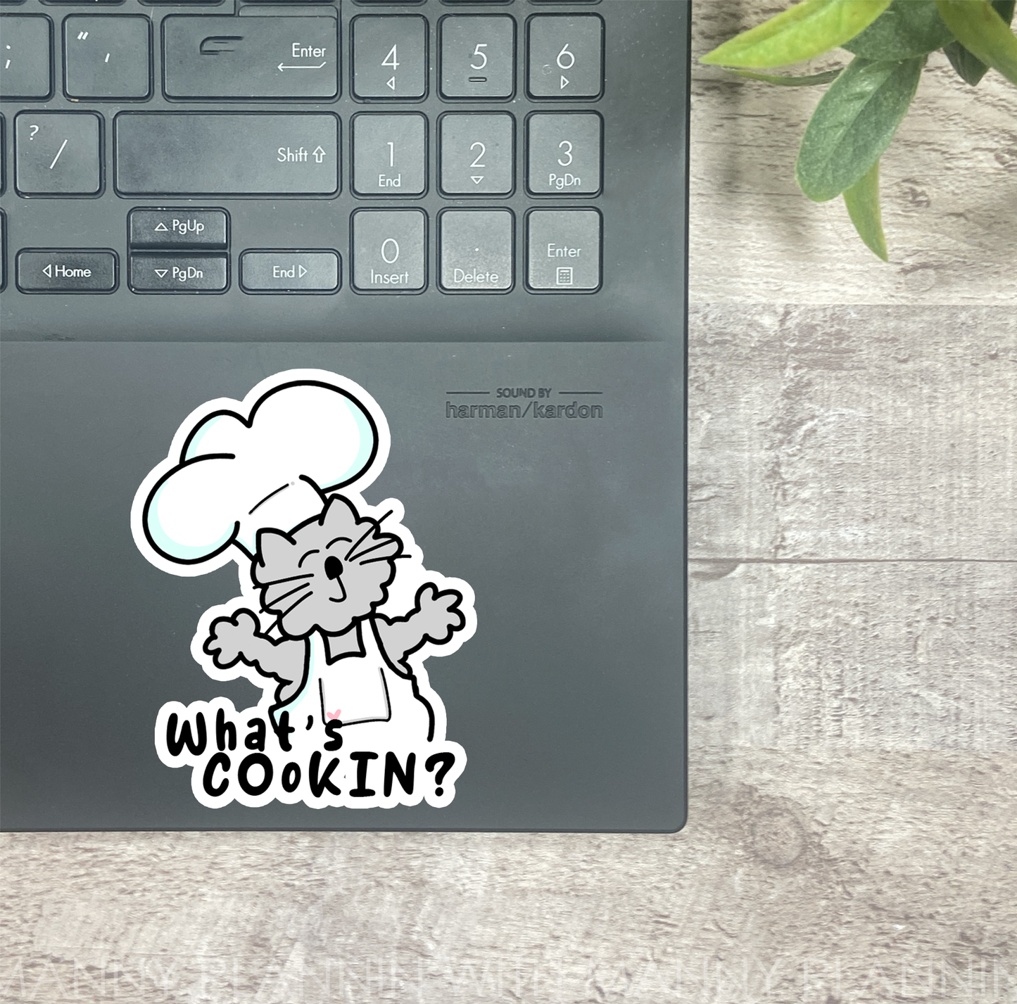 Chef Owen- What's Cookin... Vinyl Sticker, Magnetic Bookmark, & Notecard MB50