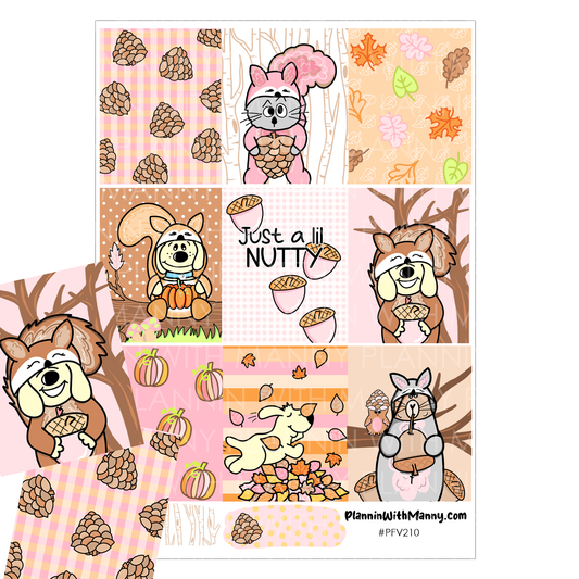 PFV210 Feelin Nutty Box Sticker Sheet