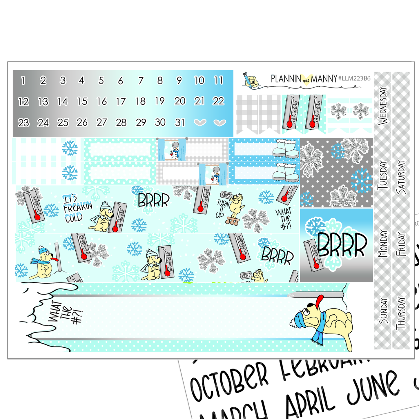 LLM223B6 Fricken Freezin B6 Monthly Planner Stickers