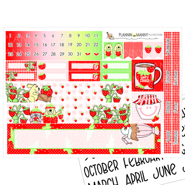 LLM235B6 Berry Time B6 Monthly Planner Stickers