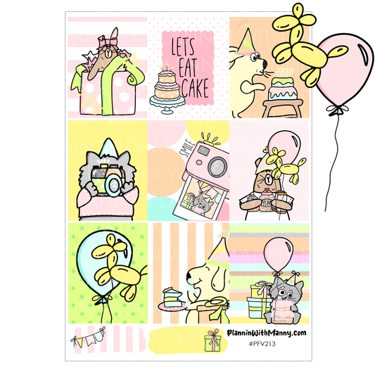 PFV213 Birthday Fun Vertical Box Sticker Sheet