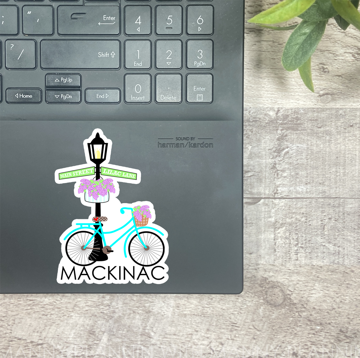 Mackinac Island Lilac Lane... Vinyl Sticker, Magnetic Bookmark, & Notecard MB57