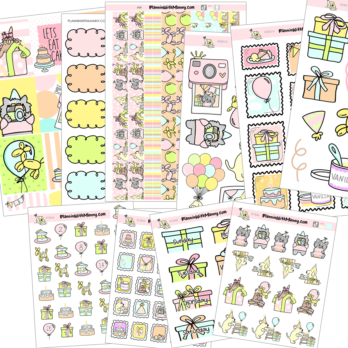 PFV213 Birthday Fun Mega Planner Kit