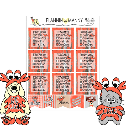 1191-TODAY'S MOOD Planner Stickers-CrayCray Collection