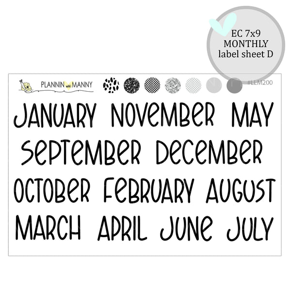 LLM208 7x9 MONTHLY Planner Stickers- Fun and Funner Collection